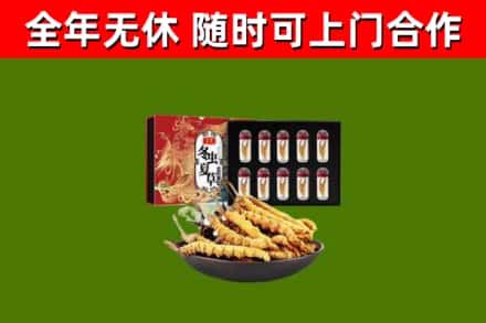 普洱回收冬虫夏草价格