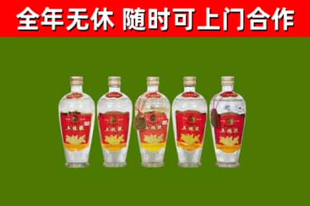 普洱回收老五粮液